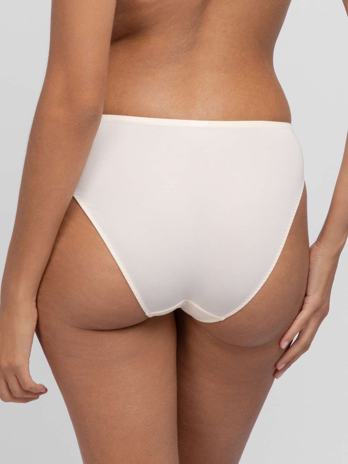 Willa 2pp Brief