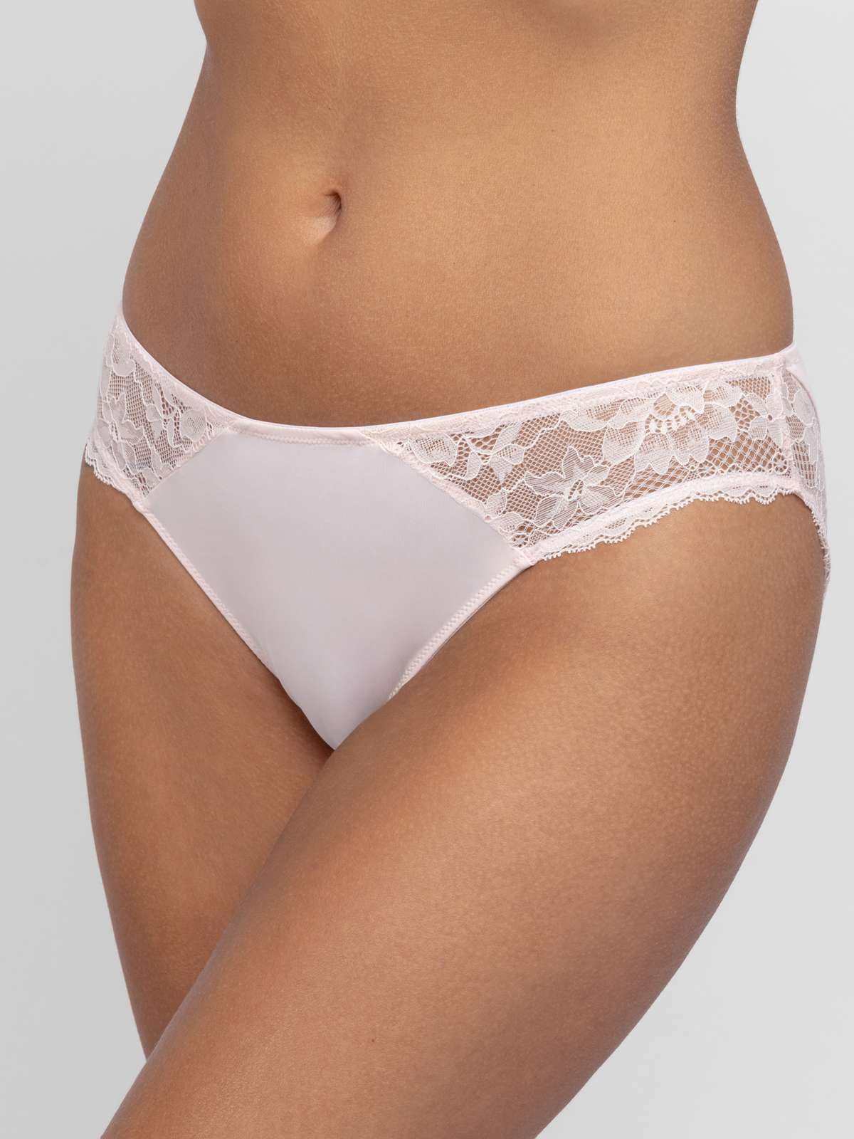 Willa 2pp Brief