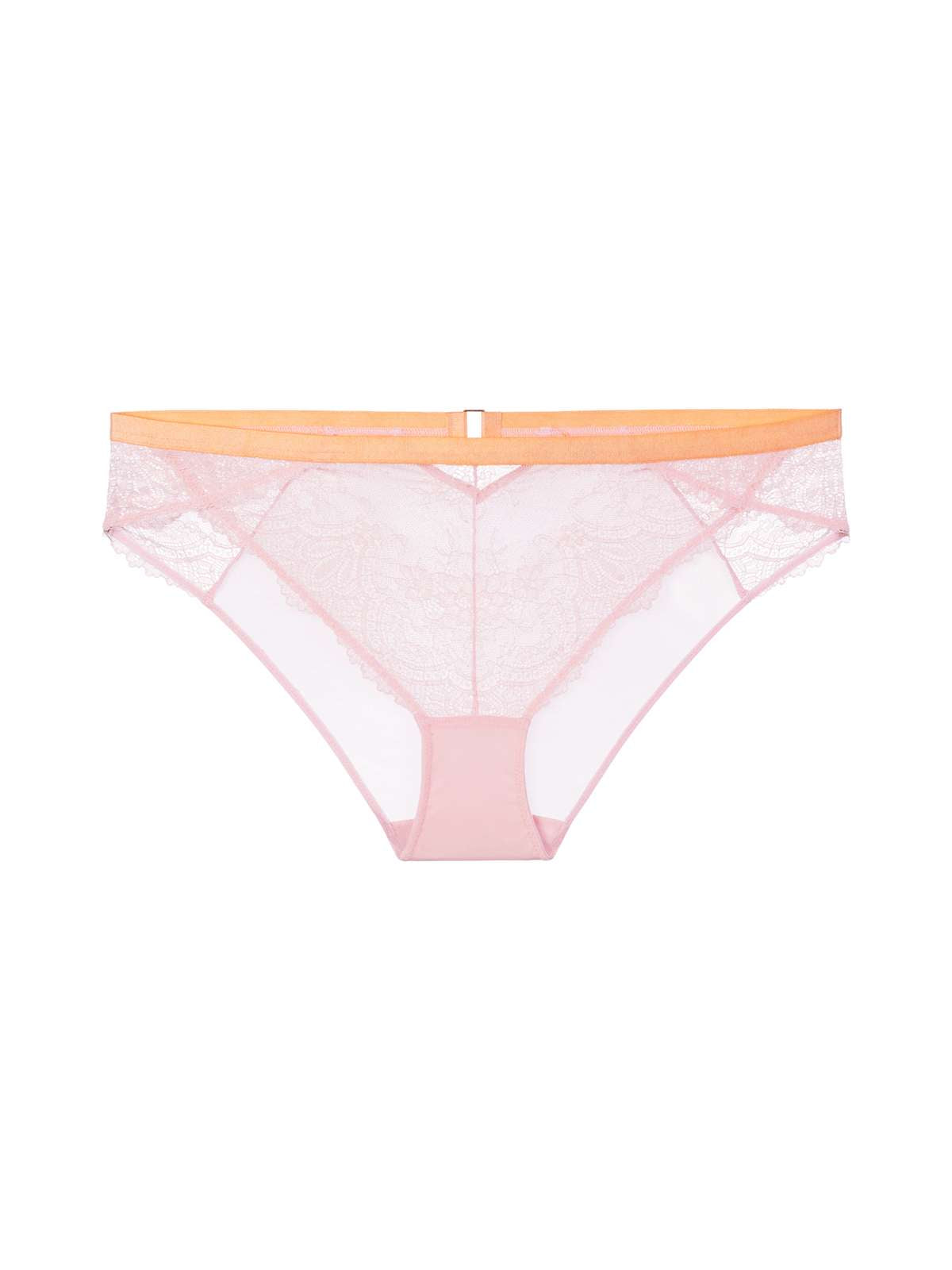 Alaina Brief